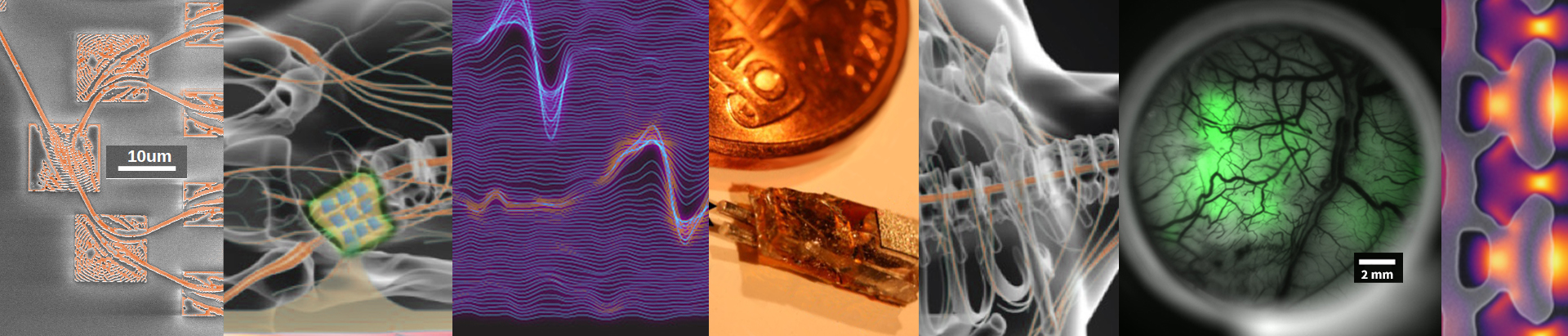 interdisciplinary biomedical applications and resarch