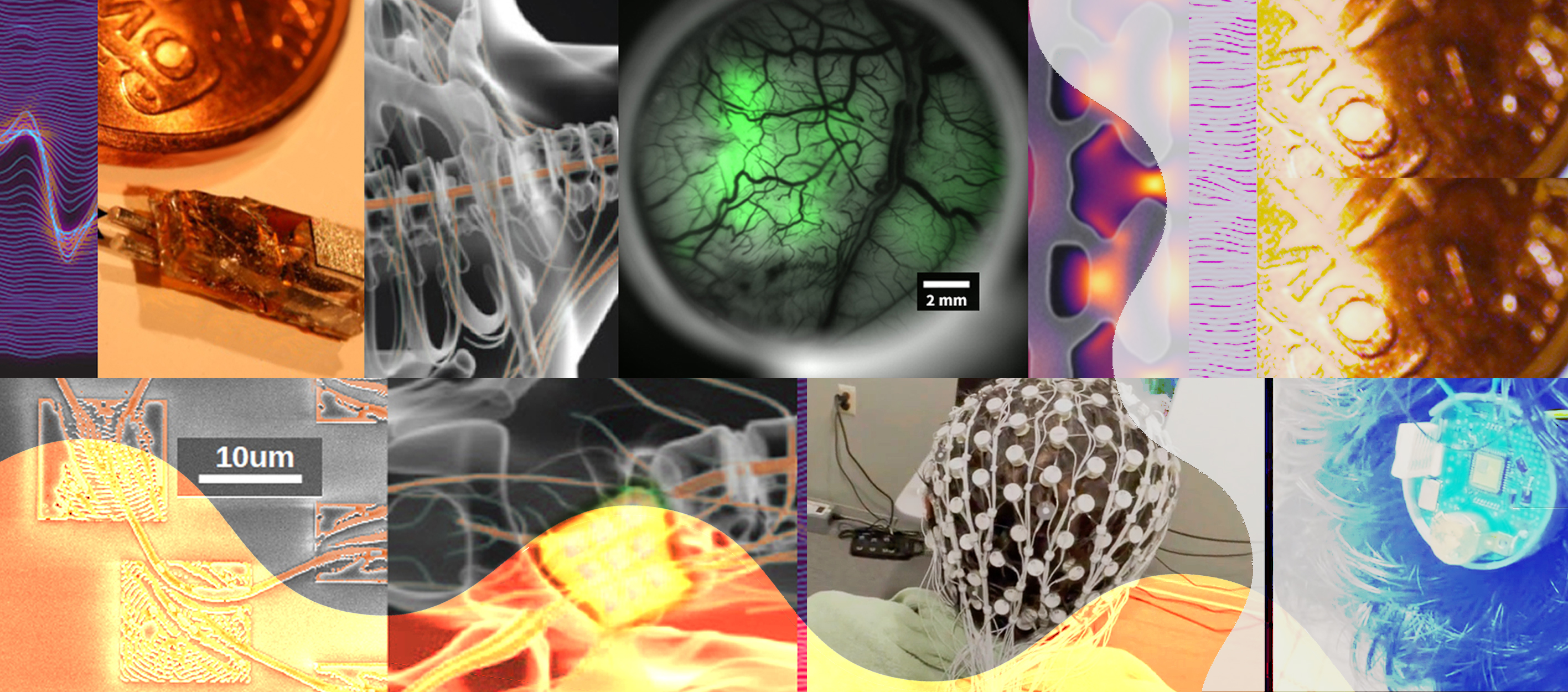biology and health research