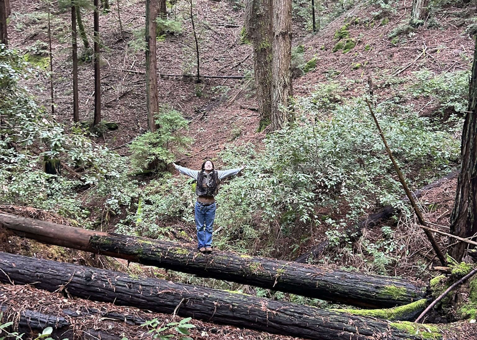 Zoë Wiederhold, Research IT Assistant