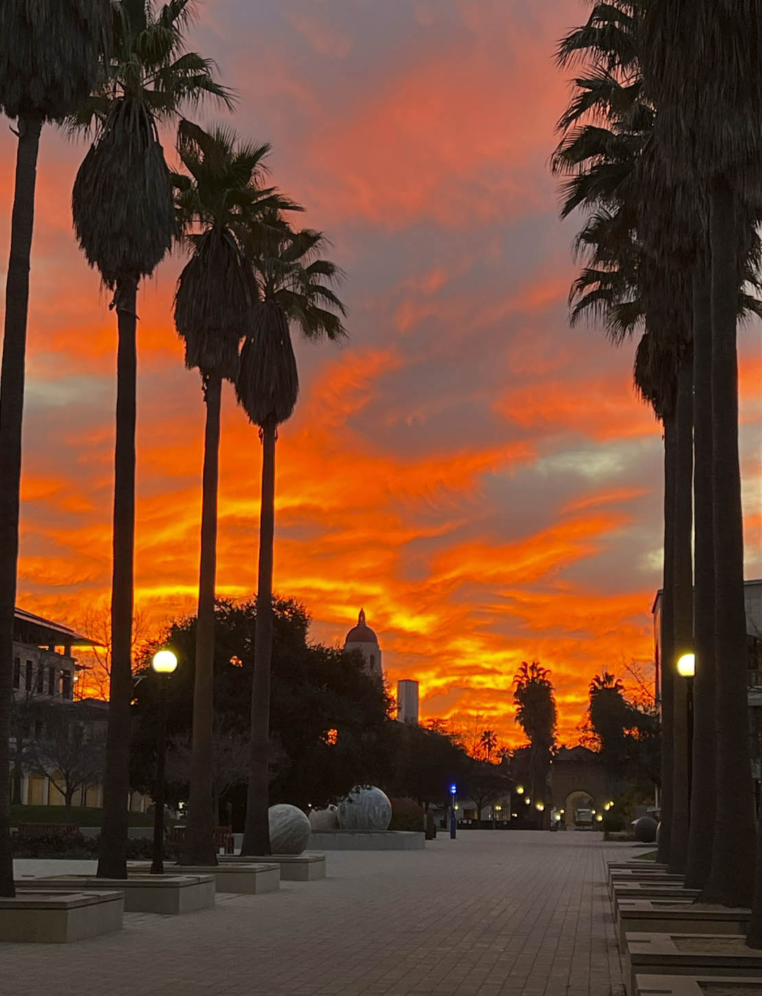 sunrise in the engineering quad, Mary K. McMahon