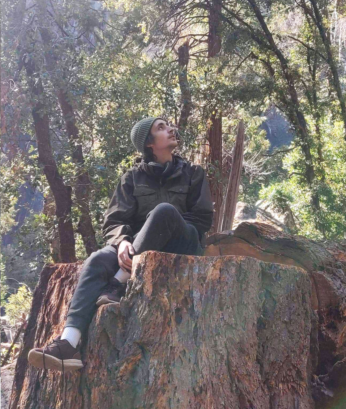 Samer on stump throne