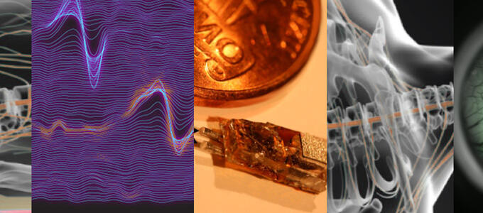 multiple images from biomedical research labs