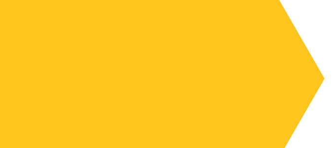 MS milestones, year 1